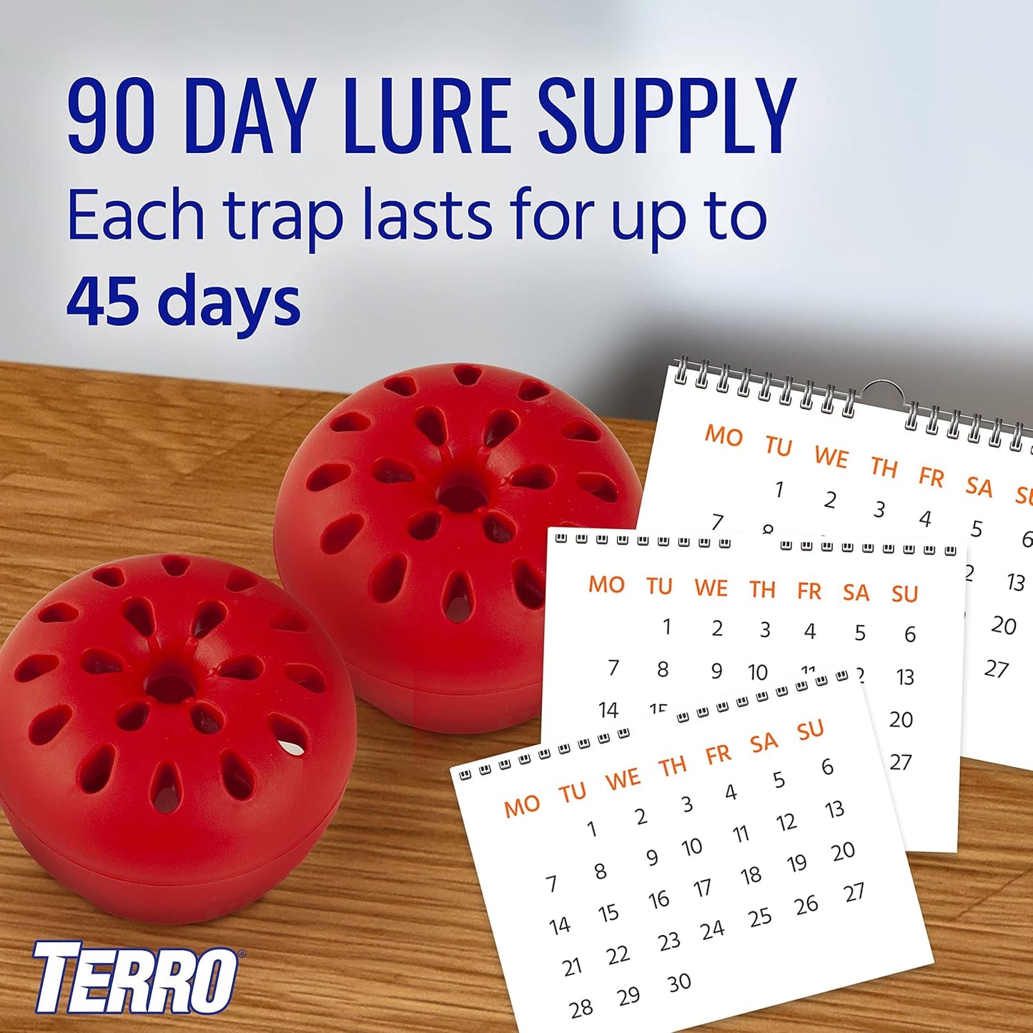 Terro T2502 Indoor Fruit Fly Trap - Ready-to-Use with Built-In Window | 2 Traps + 90-Day Lure Supply
