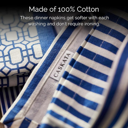 Pinstripe Blue Dinner Napkins Set of 4 - 22" x 22" Cotton Cloth Napkins (Variation: Pinstripe Blue+22" x 22" Set of 4)