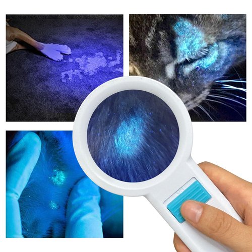 Cordless Wood's Lamp Ringworm Detection Light-Skin Testing-Esthetician-Veterinaria-5x Magnifying Wood Lamp Black Light-16 LED-Battery Powered (Portable Woods Lamp)