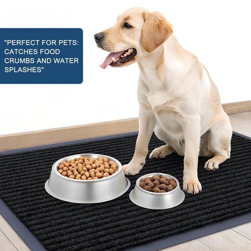 OLANLY Front Door Mat Indoor Outdoor Entrance, Waterproof Heavy Duty Doormat, Fade Resistant, Low Profile, Easy Clean Patio Porch Welcome Floor Mats for Entry, 29.5x17, Black