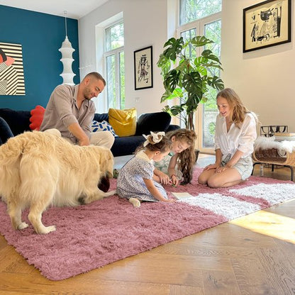 OLANLY Area Rugs for Living Room Bedroom, Machine Washable 4x5.9 ft Soft Fluffy Shaggy Bedside Rug, Indoor Floor Carpet for Kids Girls and Boys, Dorms, Nursery Rooms, Home Decor Aesthetic, Pale Pink