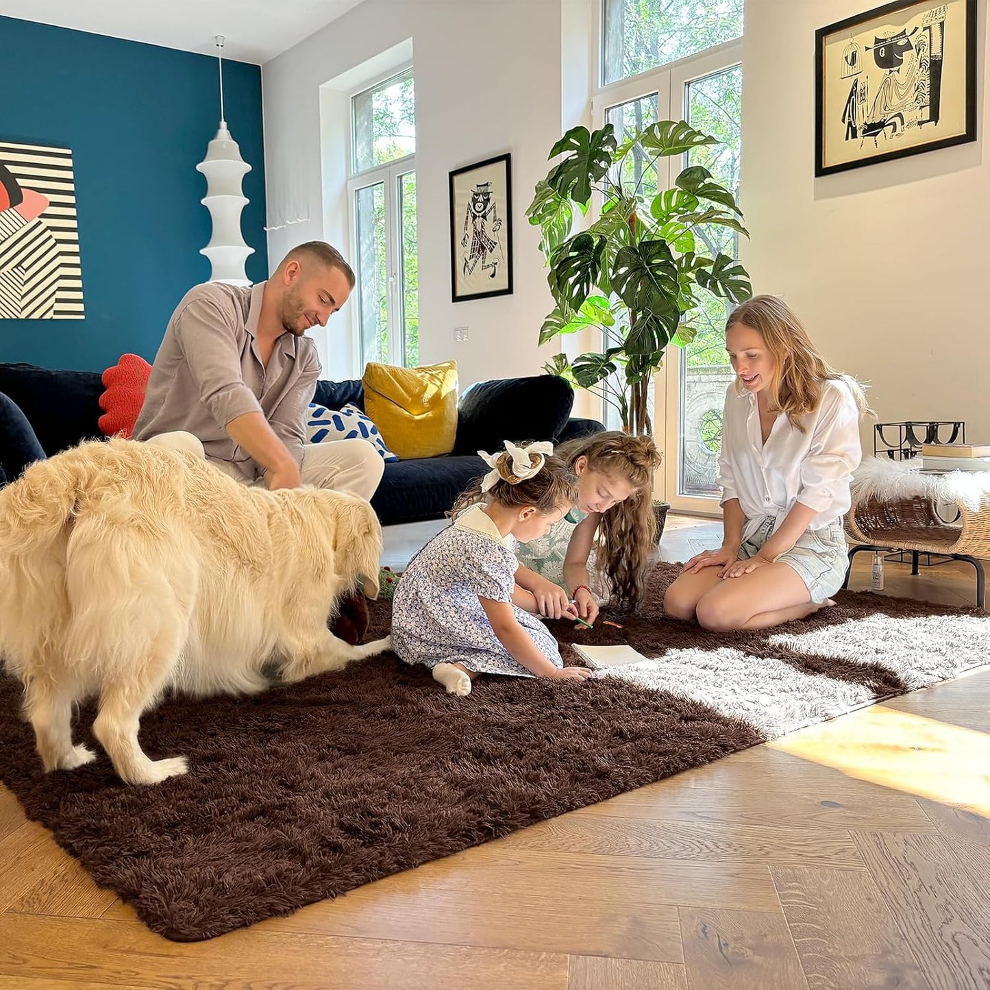 OLANLY Area Rugs - Soft, Fluffy Shaggy Indoor Carpet for Living Room & Bedroom | Machine Washable, 6x7 ft