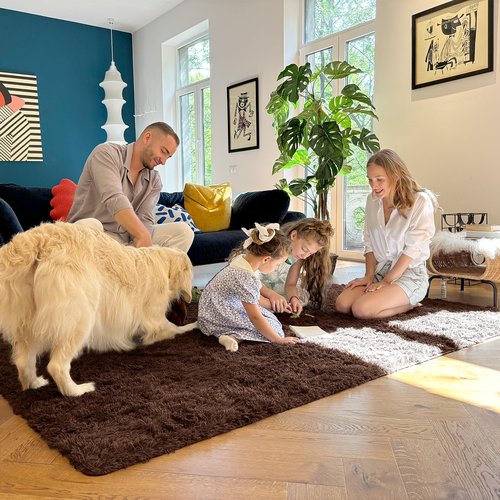 OLANLY 2x2 Machine Washable Small Rug, Soft Fluffy Shaggy Throw Rug for Bedroom, Entryway, Indoor Floor Carpet for Kids, Nursery, Home Decor, Coffee