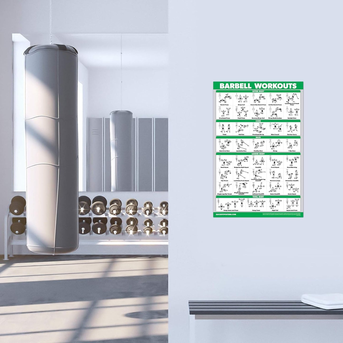Skiennix Exercise Workout Poster Set - 10 Pack Laminated Fitness Charts | 18" x 24" Size