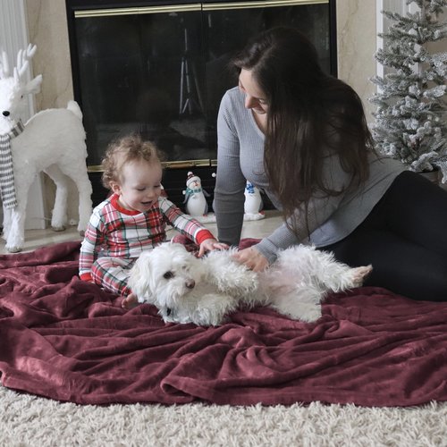 Bedsure GentleSoft Fleece Blanket Twin Size Burgundy - 300GSM Lightweight Plush Fuzzy Cozy Soft Warm Blanket for Bed, Sofa, Couch, Travel, Camping, 60x80 inches