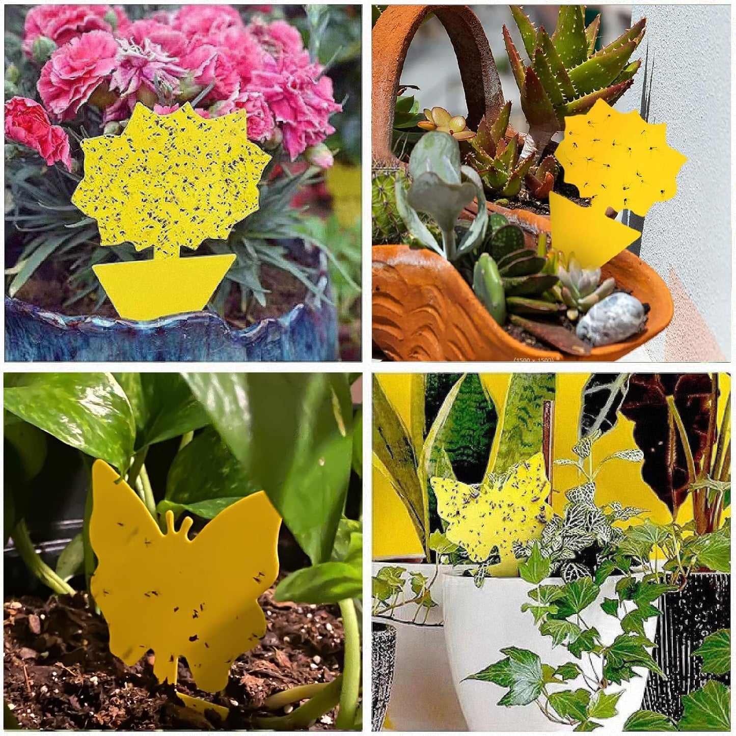 Skiennix 58 Pack Flying Insect Traps - Non-Toxic Yellow Sticky Traps for Gnats & Flies, Indoor/Outdoor Use