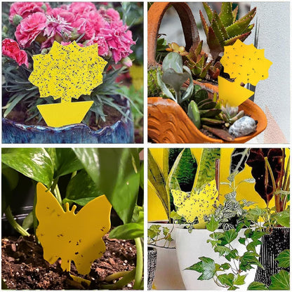 Skiennix 58 Pack Flying Insect Traps - Non-Toxic Yellow Sticky Traps for Gnats & Flies, Indoor/Outdoor Use