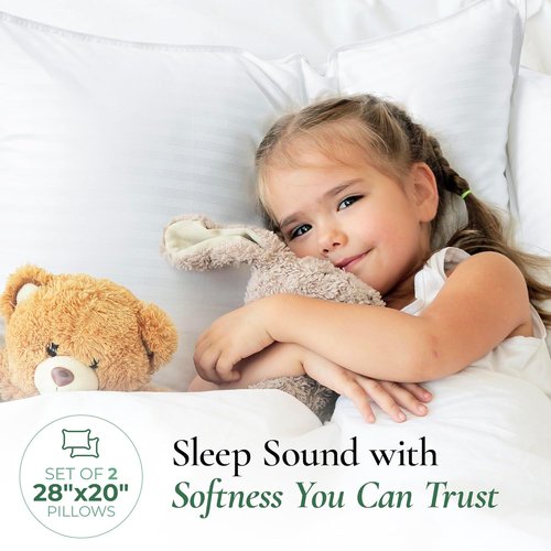 Fern and Willow Premium Queen Size Bed Pillows - Luxurious Ultra-Soft Cooling Set of 2 | Medium Firm Support for All Sleepers