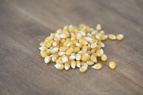 Amish Country Popcorn - Medium Yellow Popcorn Kernels | Non-GMO, Gluten-Free | 2 lb Bag