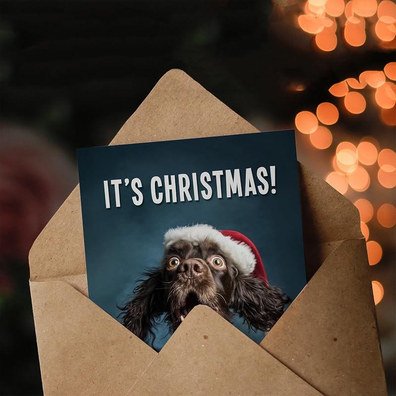 Cocker Spaniel Christmas Card in Santa Hat - Blank Inside Card