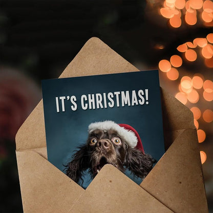 Cocker Spaniel Christmas Card in Santa Hat - Blank Inside Card