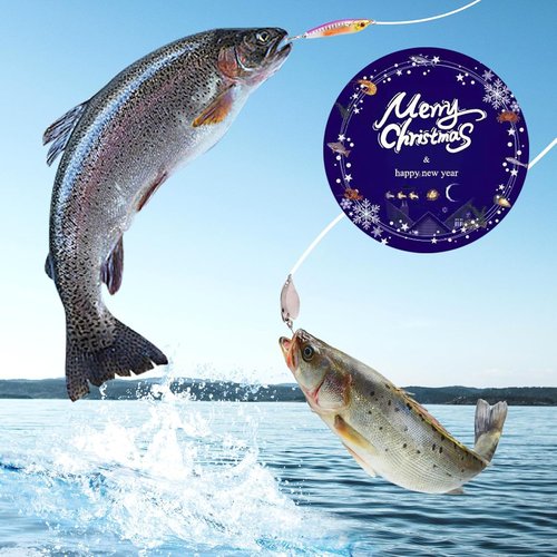 Lihome Fishing Advent Calendar 2026 - 24-Day Lure Set for Men, Boys & Dads | Freshwater & Saltwater Fishing