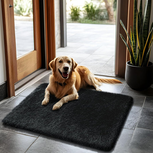 Skiennix Fluffy Area Rug - Soft Shag Non-Shedding Plush Carpet for Bedroom | Black 2x3 ft