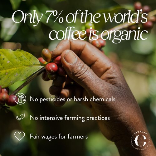 Cru Kafe Dark Roast USDA Organic Espresso Coffee Capsules (50 Pods) Fairtrade Coffee Pods Compatible with Nespresso Original Line and Pixie Machines