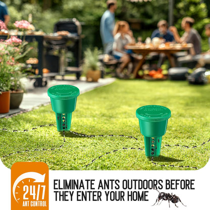 Qualirey Ant Traps - Reusable Liquid Bait Stations for Outdoor Use | Pet Safe, Multi-Surface Control