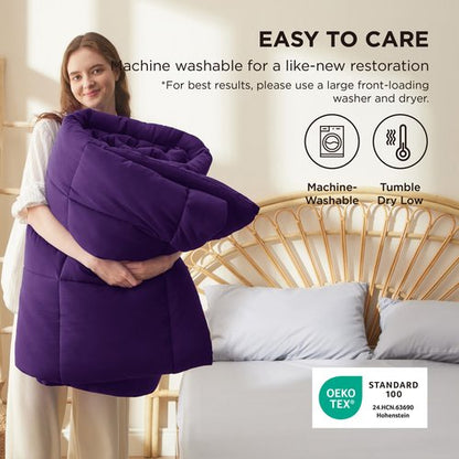 Bedsure Comforter Duvet Insert - Quilted Comforters Queen Size, All Season Duvet, GentleSoft Down Alternative Bedding Blanket, with 8 Tabs, Gifts for Women/Men, Purple, Queen 88 x 88 Inches