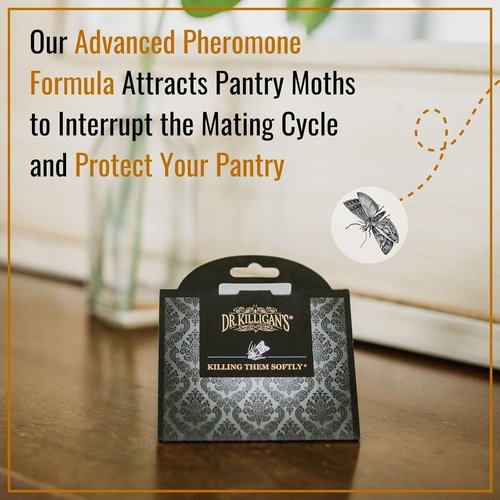 Dr. Killigan's Pantry Moth Traps - Double Potent Pheromone Sticky Traps for Kitchen | 6 Pack, Black