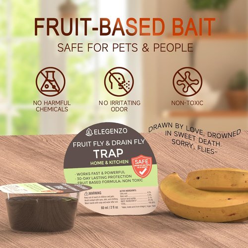 EPA Establishment No.100240-CHN-1 Fruit Fly Traps - Reusable Escape-Proof Design with Powerful Fruit Bait (2 x 60ml)