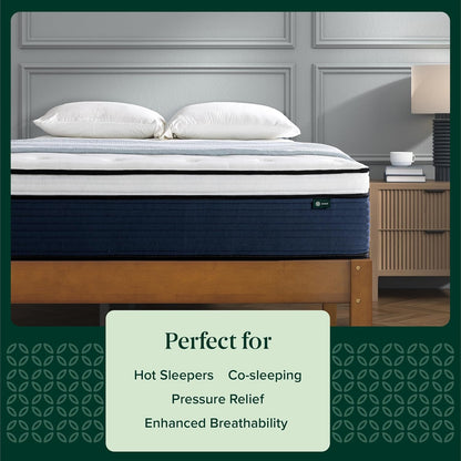 ZINUS 12 Inch Comfort Support Hybrid Mattress - Queen Size, Medium Plush, Fiberglass Free, Motion Isolation