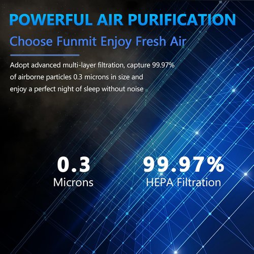 LEVOIT LV-H132 Replacement Filter - 3-in-1 Air Purifier Filter Set | 2 Pack for Optimal Performance
