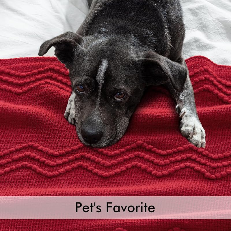 Variation of THIS listing: MIULEE Burgundy 60" x 80" Knitted Boho Throw Blanket for Couch
