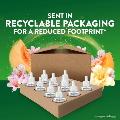 Air Wick Scented Oil Refill - Summer Delights | Eco-Friendly Air Freshener, 10ct