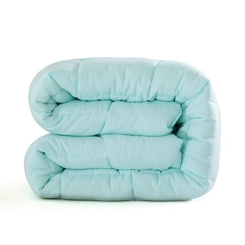 EVOLIVE All Season Pre Washed Soft Microfiber White Goose Down Alternative Comforter with Box Stitching (Mint, King)