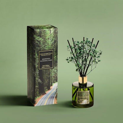 COCORRÍNA Reed Diffuser - Redwood National Park 6.7 Fl. Oz Set with 8 Sticks & Baby's Breath Decor
