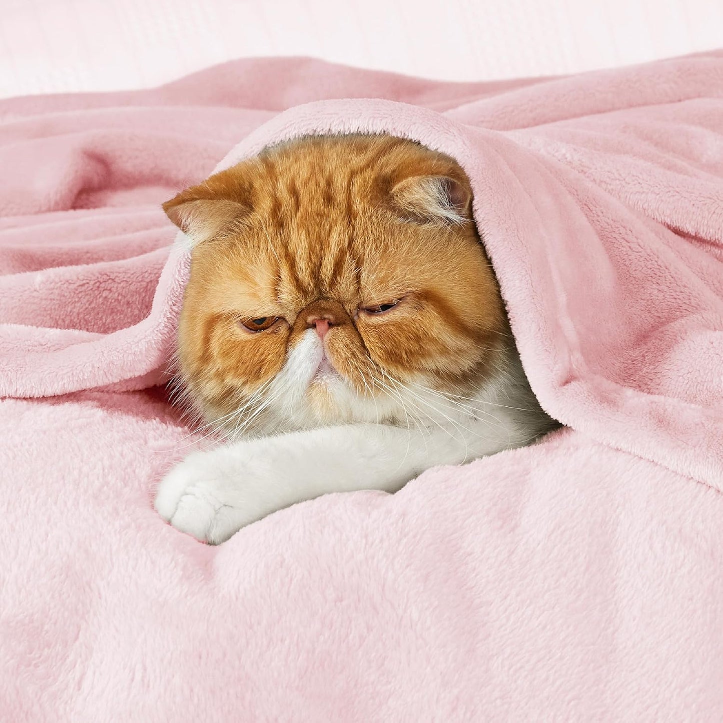 Bedsure GentleSoft Pink Fleece Throw Blanket - Cozy 300GSM Soft Blanket for Couch, 50x60 Inches
