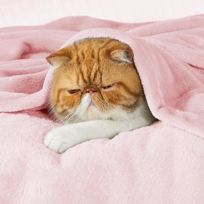 Bedsure GentleSoft Pink Fleece Throw Blanket - Cozy 300GSM Soft Blanket for Couch, 50x60 Inches