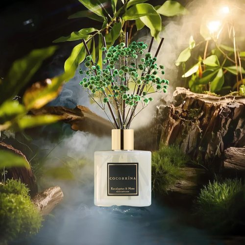 Cocorrína Reed Diffuser Sets- Eucalyptus & Moss Scented Diffuser with Sticks Home Fragrance Reed Diffuser for Bathroom Shelf Decor