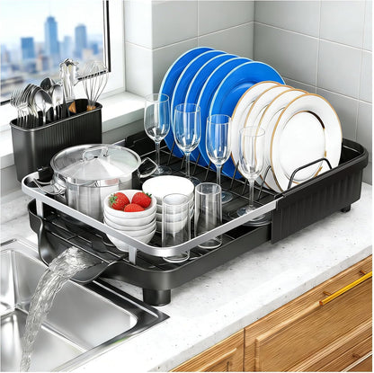 Skiennix Dish Drying Rack - Expandable Stainless Steel Drainer with Utensil Holder | Black