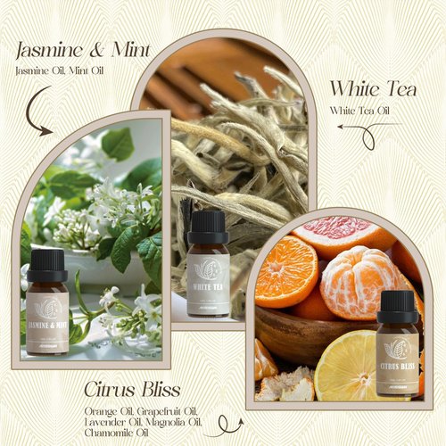 ARVIDSSON Hotel Diffuser Oils Gift Set, Hotel Scent Essential Oils for Diffuser, Luxury Fragrance Oil Blend - Jasmine & Mint, White Tea, Citrus Bliss, M-Way, Fancy Lobby, Gift for Women and Men
