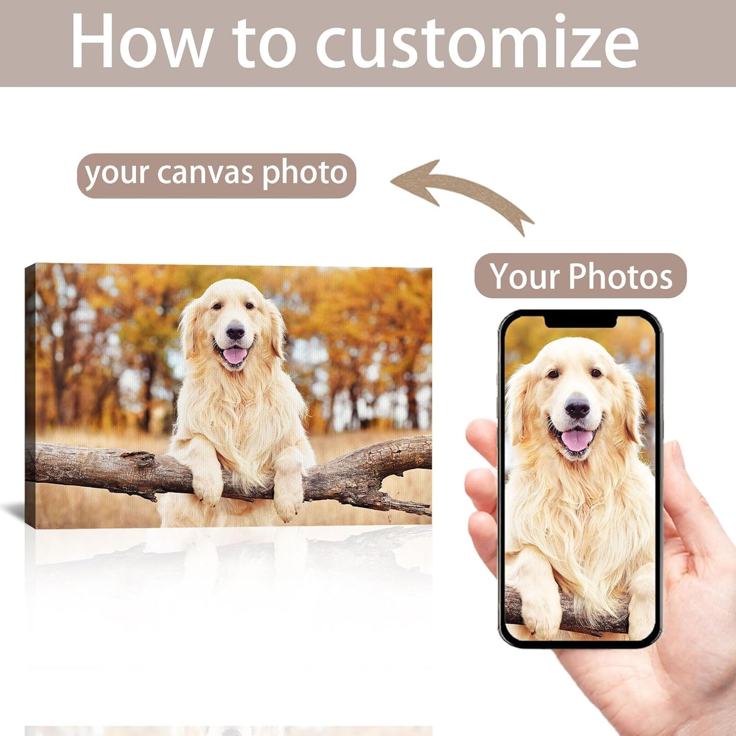 Skiennix Custom Canvas Prints - Personalized Photo Wall Art for Family & Pets | Framed 24x16