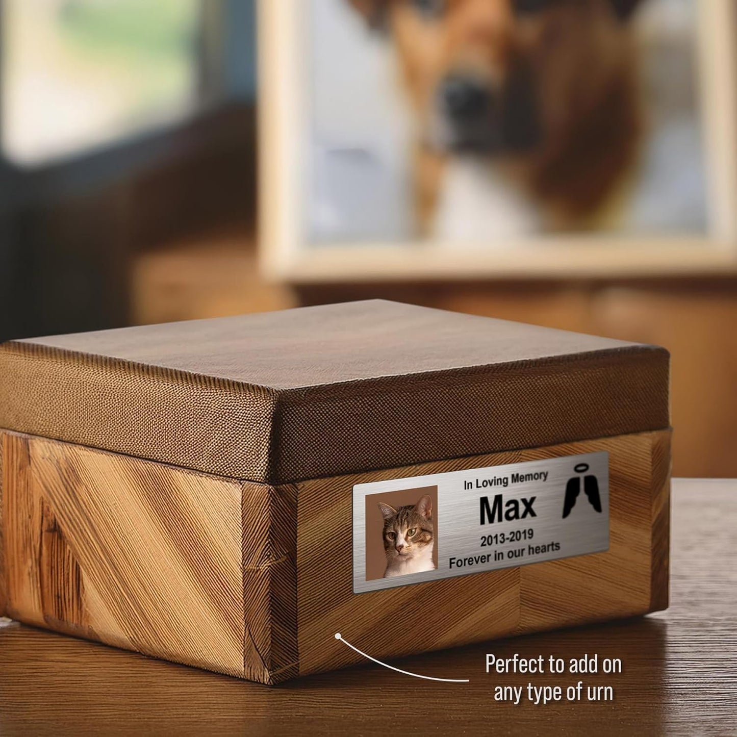 Skiennix Custom Pet Memorial Nameplate - Personalized Stainless Steel Badge for Urns & Ashes