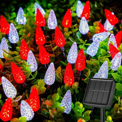 Brightown Solar C6 Strawberry String Lights - 50 LEDs, 22.64ft Red & White | Outdoor Christmas Decor