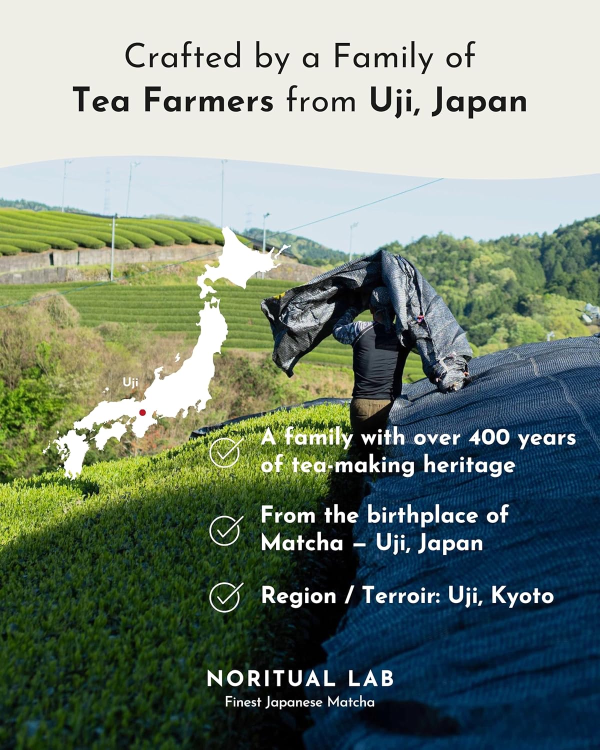 Uji Ceremonial Matcha - Authentic First Harvest Japanese Green Tea Powder - 1.05 oz