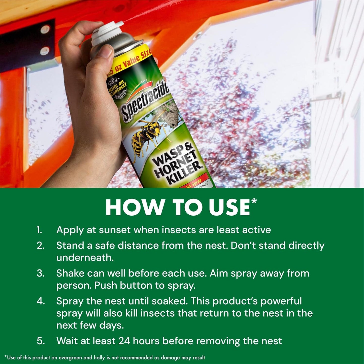 Spectracide Wasp & Hornet Killer - Instant Contact Kill & Nest Elimination - 12 Pack