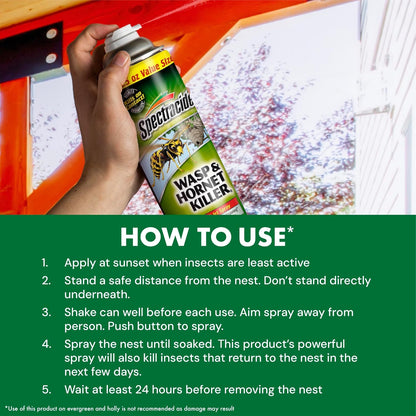 Spectracide Wasp & Hornet Killer - Instant Contact Kill & Nest Elimination - 12 Pack