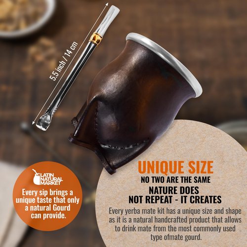 Handmade Yerba Mate Set - Cup and Bombilla with Pumpkin Gourd Kit - Mate Container - Mates Argentinos - Stainless Steel Bombilla (5.5 Approx)