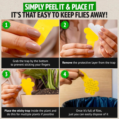 Super Ninja Fungus Gnat Traps - 30 Pack, Highly Effective Gnat Traps for House Indoor, Yellow Sticky Trap for Plants, Non-Toxic & Nature-Friendly, Up to 3 Months