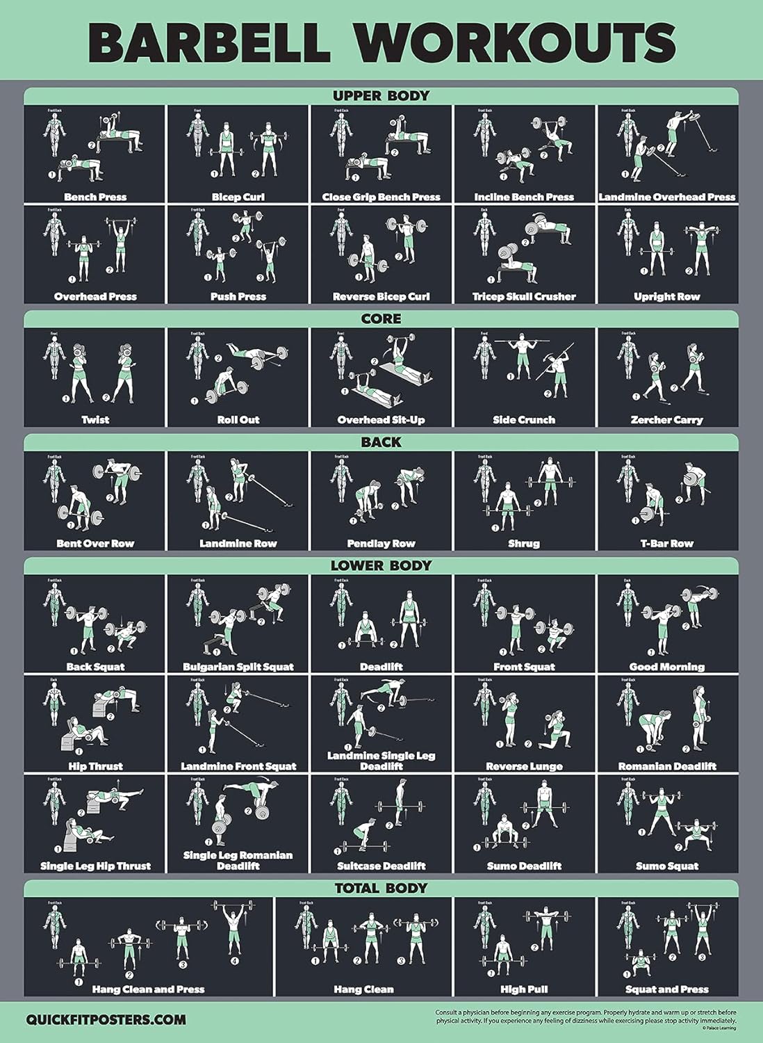 Palace Learning Dumbbell & Barbell Exercise Poster Set - Laminated 2 Chart Workout Guide | 18” x 24”