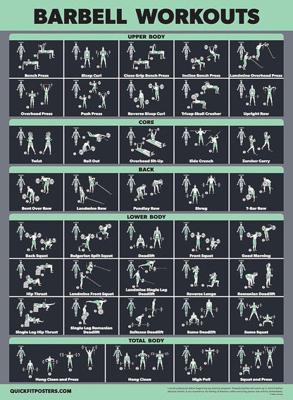 Palace Learning Dumbbell & Barbell Exercise Poster Set - Laminated 2 Chart Workout Guide | 18” x 24”