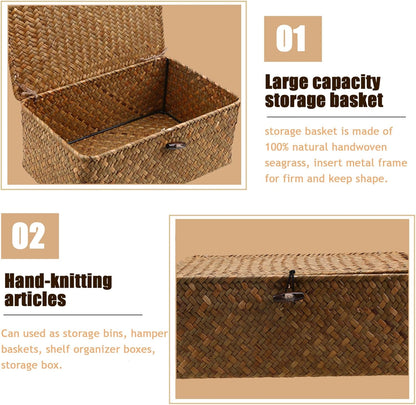Skiennix Storage Baskets - 2 PCS Woven Seagrass Baskets with Lid for Stylish Organization | 10x6x4 & 9x5x3 Inches