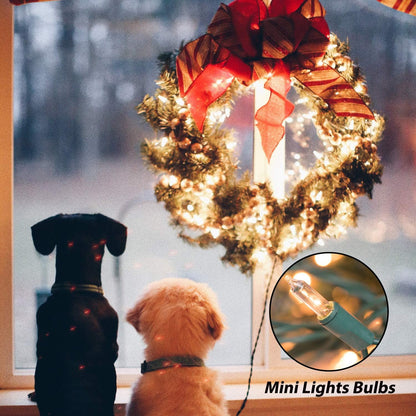 Minetom Clear Christmas String Lights - 3 Pack of 20 Feet with 100 Warm Mini Lights for Indoor/Outdoor Decor