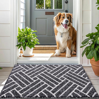OLANLY Indoor Door Mat - Dirt Resistant & Absorbent | Non-Slip Rubber Backing, 32x20 Inch, Black