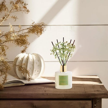 Cocorrína Reed Diffuser - Bamboo Stream Scented Home Fragrance with 8 Sticks | Elegant Bathroom Decor