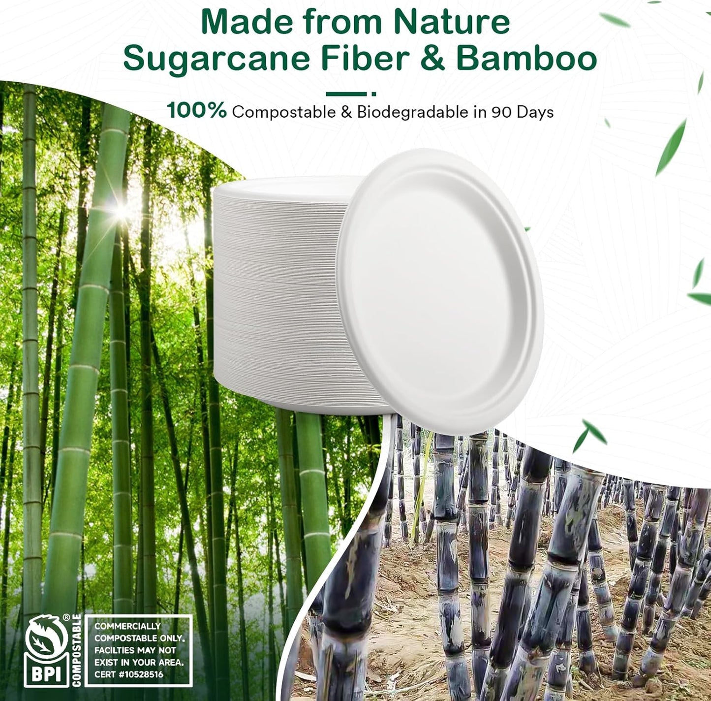 Skiennix Compostable Paper Plates - Heavy Duty 6 Inch Dessert Plates | 128 Pack, Eco-Friendly & Biodegradable