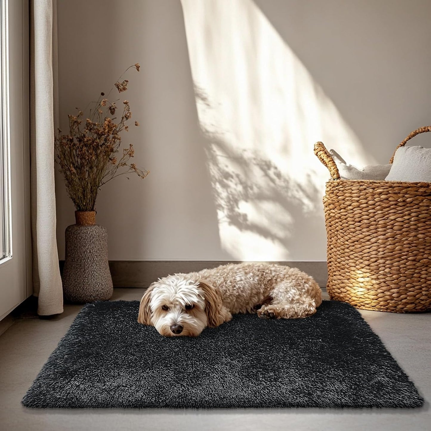 Skiennix Fluffy Area Rug - Soft Shag Non-Shedding Plush Carpet for Bedroom | Black 2x3 ft