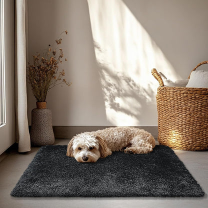 Skiennix Fluffy Area Rug - Soft Shag Non-Shedding Plush Carpet for Bedroom | Black 2x3 ft